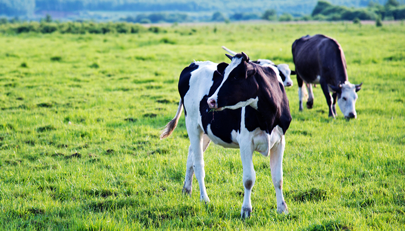 腾博官网-诚信为本,专业服务!