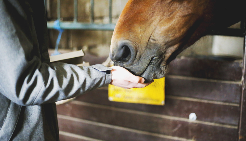 腾博官网-诚信为本,专业服务!
