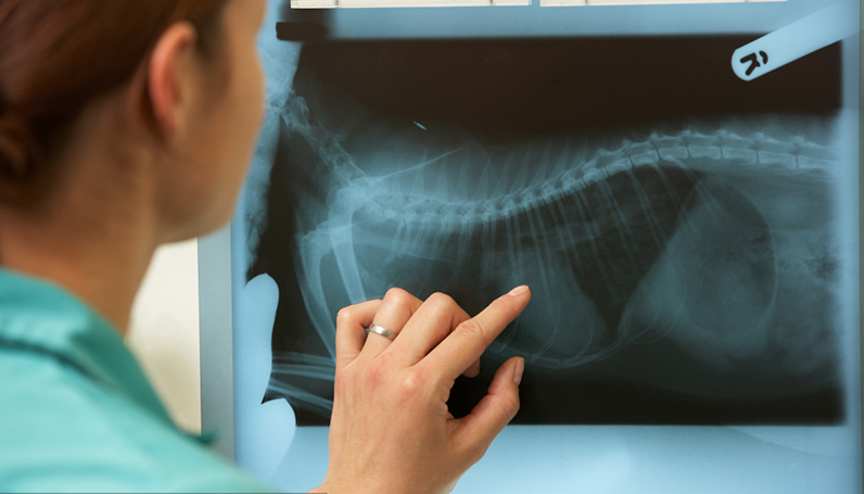 腾博官网-诚信为本,专业服务!